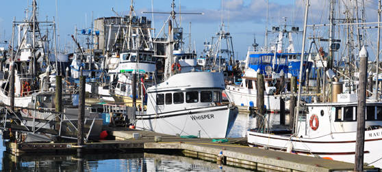  Whisper in Westport Marina